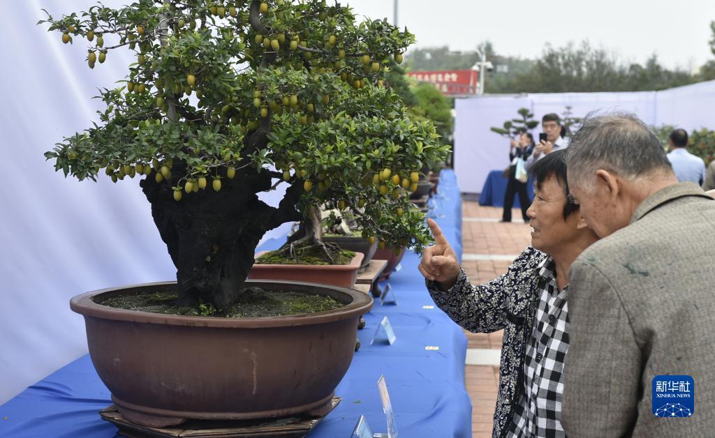 捕鱼达人3d官网